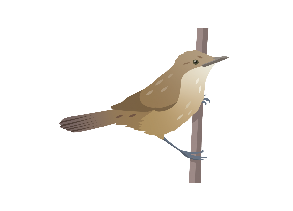 Reed Warbler Carbon Landscapes